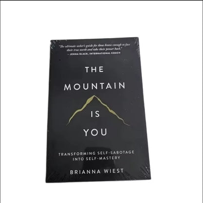 The Mountain Is You: Transforming Self-Sabotage into Self-Mastery English Books